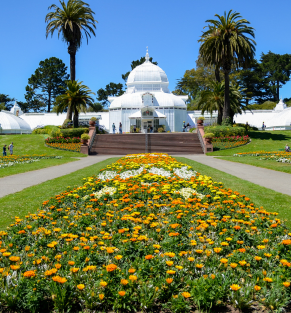 San Francisco Botanical Garden