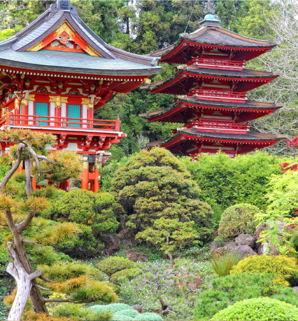 Japanese Tea Garden